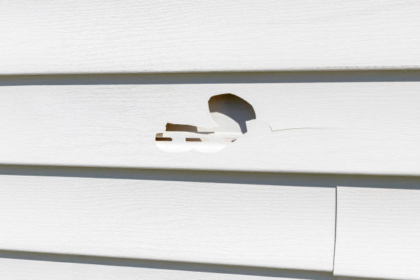 Best Storm Damage Siding Repair  in Minerva Park, OH