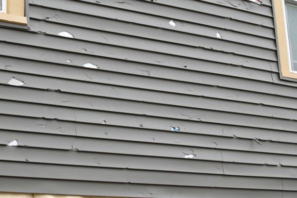 Best Residential Vinyl Siding Installation  in Minerva Park, OH