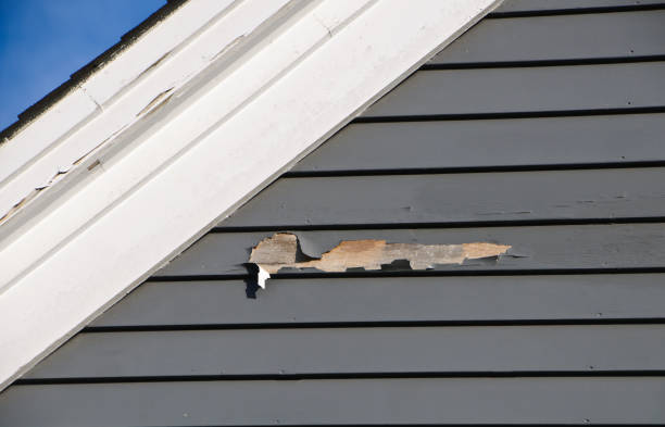 Best Insulated Siding Installation  in Minerva Park, OH